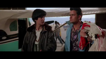 Terminal Velocity (1994)