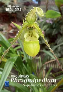 Mestre das Orquídeas - Edição 26 026