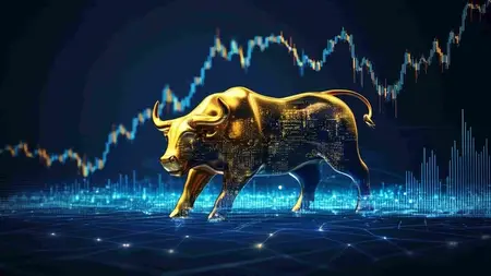Introduction to Financial Modelling and Valuation Analysis