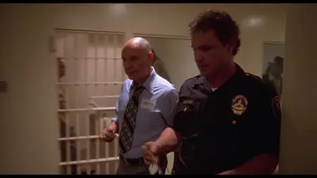 Slums of Beverly Hills (1998)