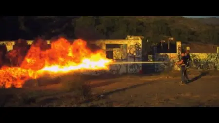 Bellflower (2011)