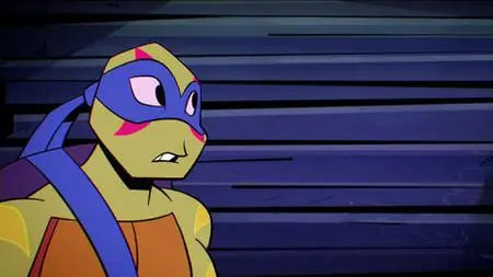 Rise of the Teenage Mutant Ninja Turtles S01E29
