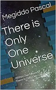 There is Only One Universe: Within One Universe There is Only One Galaxy