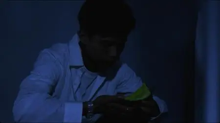 Vive L'Amour (1995)