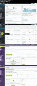 Udemy – Wordpress Masterclass