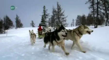 UKTV - Let It Snow (2010)