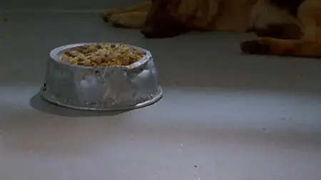 1994 – Willkommen in der Zweiten Republik S01E01