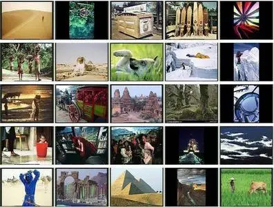 610 National Geographic Images