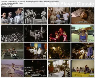 (Docu) The BEACH BOYS - An American Band [DVDrip] 1985 VOstf (Re-post)