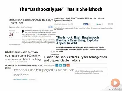 Understanding the Shellshock Bash Bug