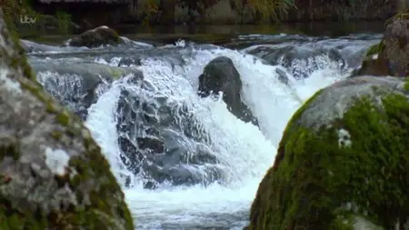 ITV - Wild River with Ray Mears (2015)