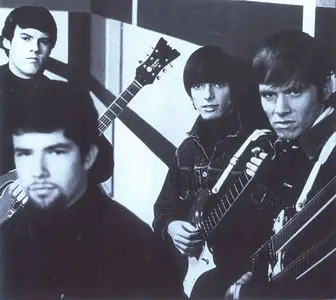 Davie Allan & The Arrows - Blues Theme (1967) Repost