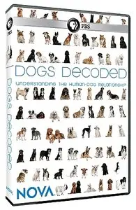 PBS NOVA: Dogs Decoded S38E04 (2010)