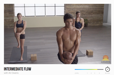 Intermediate Flow with Ali Owens (2015)