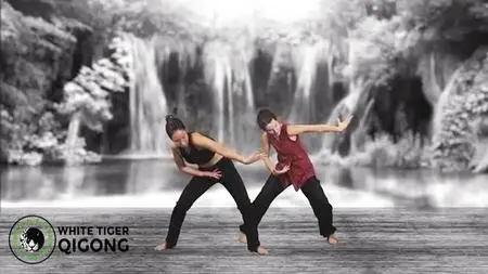 White Tiger Qigong Presents: Qigong for Worry and Anxiety
