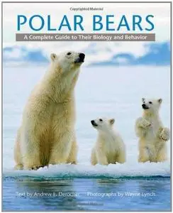 Polar Bears: A Complete Guide to Their Biology and Behavior (Repost)