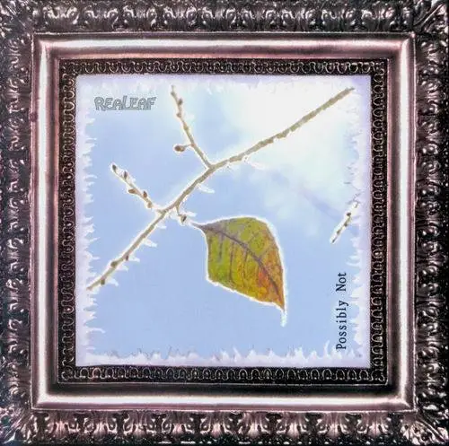 Realeaf - Possibly Not (2007)