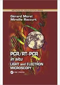 PCR/RT- PCR in situ: Light and Electron Microscopy