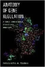 Anatomy of Gene Regulation: A Three-dimensional Structural Analysis by Panagiotis A. Tsonis