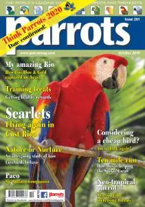 Parrots - October 2019
