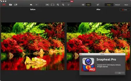 Snapheal Pro 1.4.980 Multilangual Mac OS X