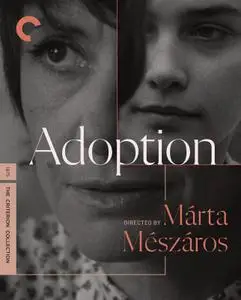 Adoption / Örökbefogadás (1975) [The Criterion Collection]