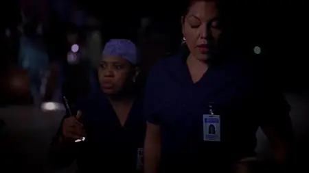 Grey's Anatomy S09E24