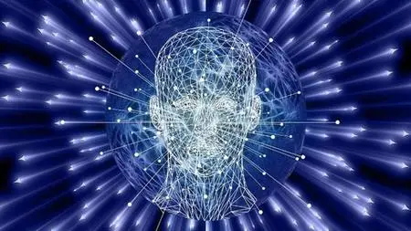 Unleashing Your Brain'S Potential For Enlightenment