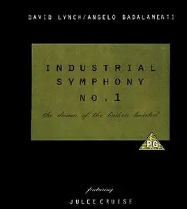 Industrial Symphony No. 1: The Dream of the Brokenhearted (1990)