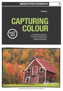Basics Photography 03: Capturing Colour (Repost)