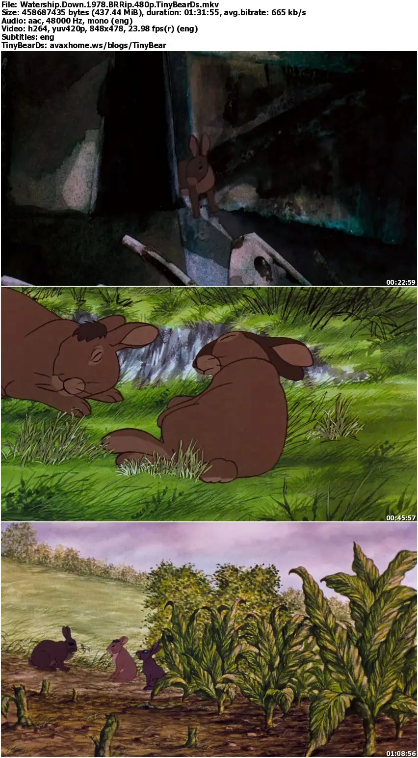 Watership Down (1978)