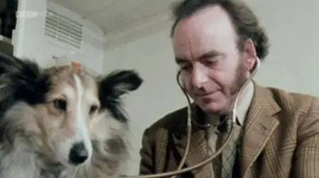 BBC - Woof! a Horizon Guide to Dogs (2012)