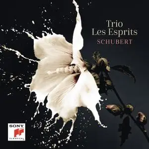 Trio Les Esprits - Schubert (2019)