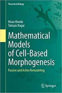 Mathematical Models of Cell-Based Morphogenesis: Passive and Active Remodeling