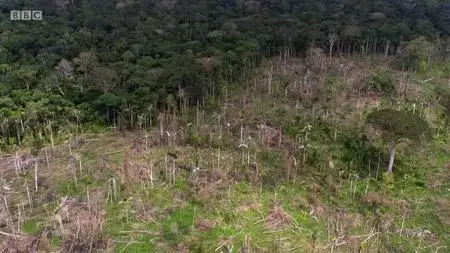 BBC Our World - Colombia: Saving Eden (2020)