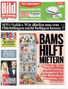 Bild am Sonntag - 07. Januar 2018