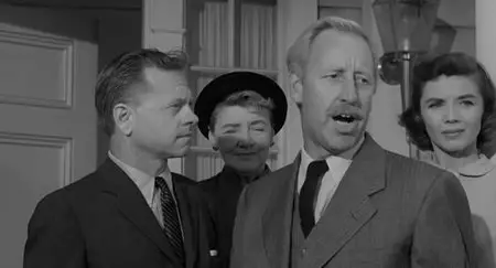 Andy Hardy Comes Home (1958)