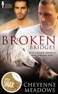 «Broken Bridges» by Cheyenne Meadows