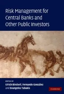 Risk Management for Central Banks and Other Public Investors [Repost]