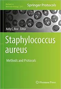 Staphylococcus aureus