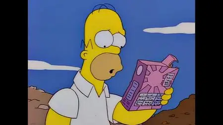 Die Simpsons S08E22