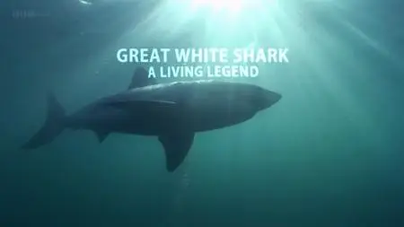 BBC - Natural World: Great White Shark - A Living Legend (2009)