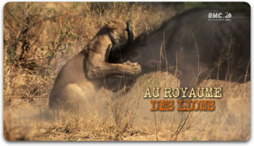 Au Royaume Des Lions (2011)