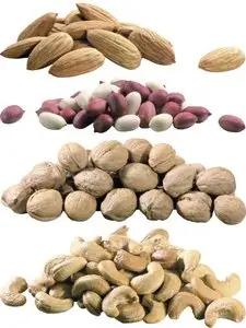Walnuts, peanuts, almonds, pistachios, nutmeg, hazelnuts, cashews, chestnuts, acorns