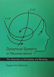 Dynamical Systems in Neuroscience: The Geometry of Excitability and Bursting (Repost)