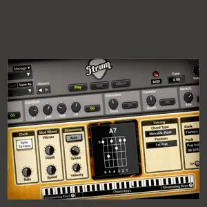 Applied Acoustics Systems Strum GS-2 v2.0.0