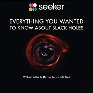 Everything You Wanted to Know About Black Holes: (Without Actually Having to Go Into One) [Audiobook]