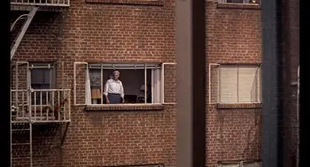 Rear Window (1954) [Universal Legacy Series]