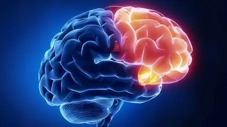 Dyslexia 101: Definition, Characteristics, Assessment