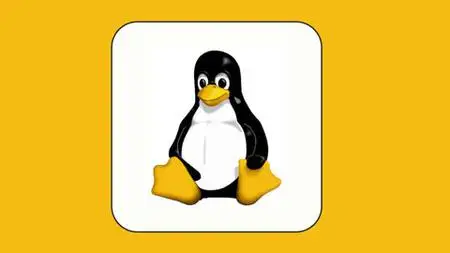 Learn Linux From The Scratch And Prepare For Job Interview